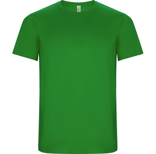 verde helecho IMOLA 0427