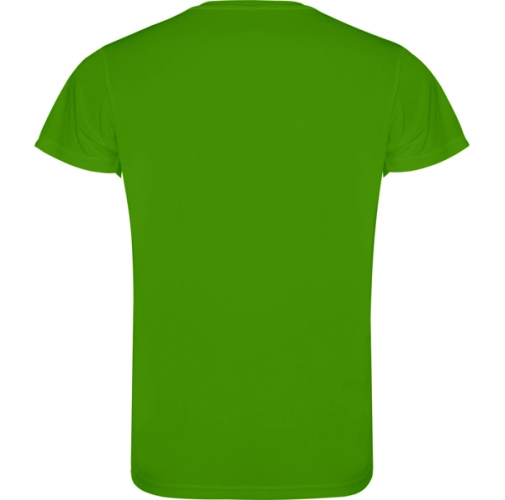 verde helecho CAMIMERA 0450