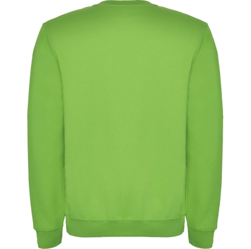 verde oasis CLASICA 1070