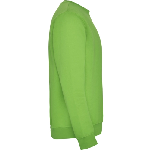 verde oasis CLASICA 1070