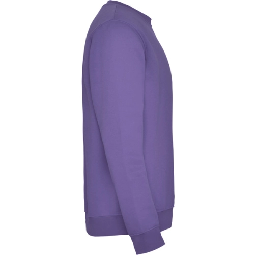 iris purpura CLASICA 1070