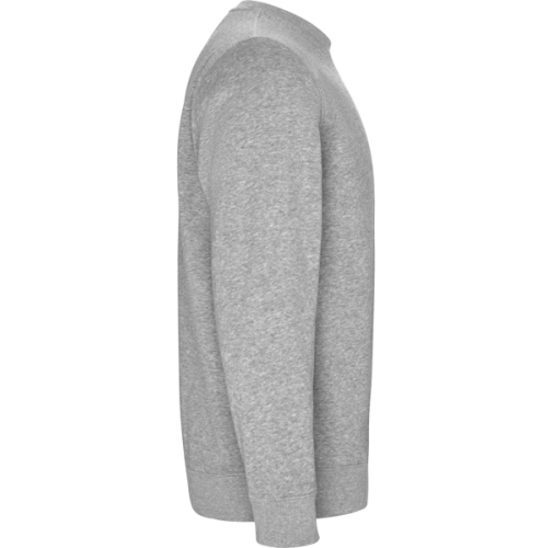 gris vigore BATIAN 1071