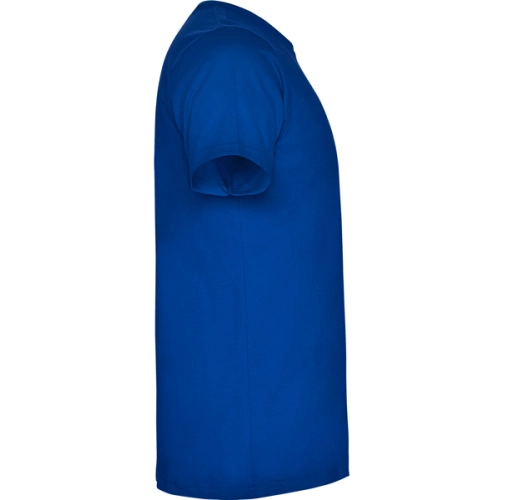 royal DOGO PREMIUM 6502