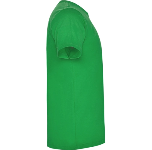 verde irish DOGO PREMIUM 6502