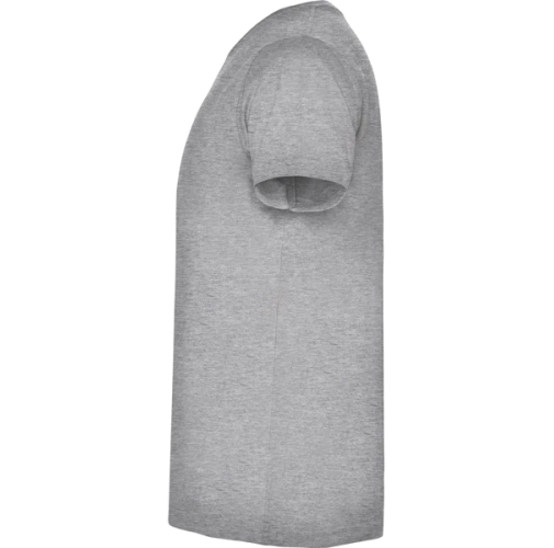 gris vigore SAMOYEDO 6503