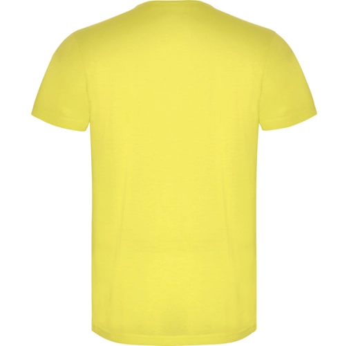 amarillo fluor AKITA 6534