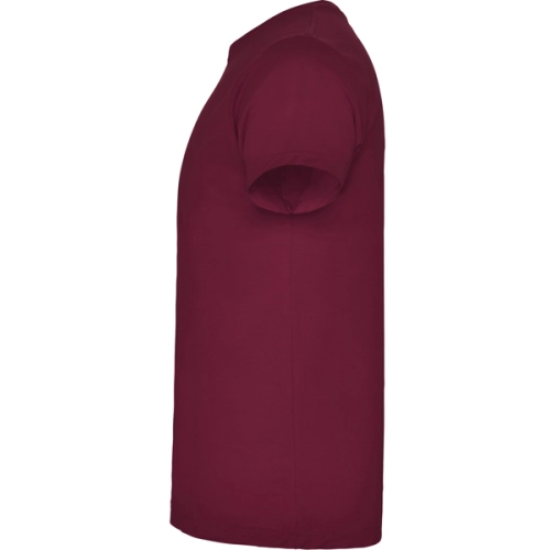 BRACO 6550