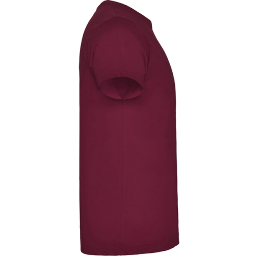 BRACO 6550