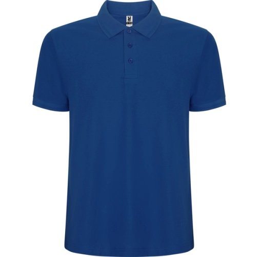 royal PEGASO PREMIUM 6609