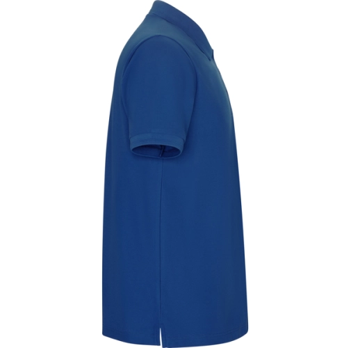 royal PEGASO PREMIUM 6609