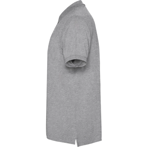 gris vigore IMPERIUM 6641