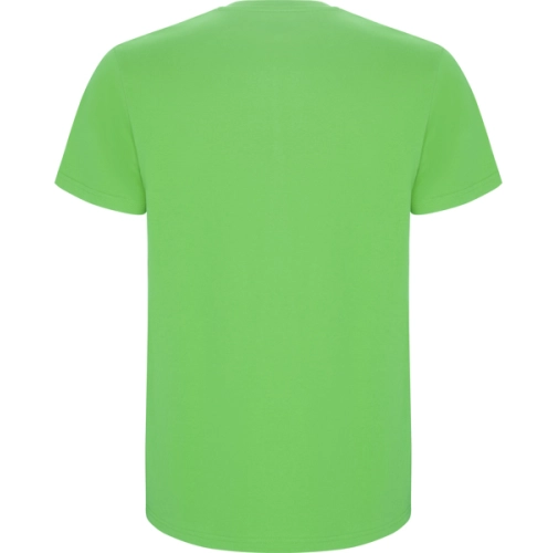 verde oasis STAFFORD 6681