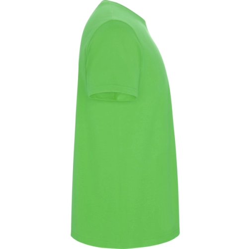 verde oasis STAFFORD 6681