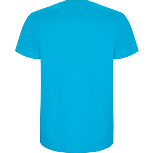 turquesa STAFFORD 6681