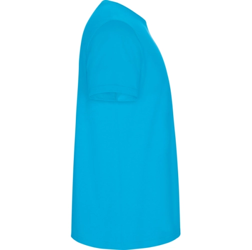 turquesa STAFFORD 6681