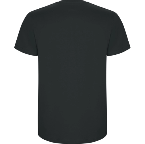 plomo oscuro STAFFORD 6681