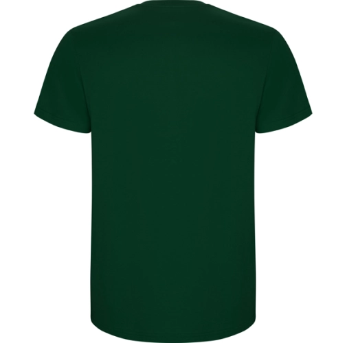 verde botella STAFFORD 6681