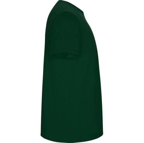 verde botella STAFFORD 6681