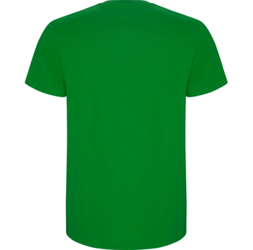 verde grass STAFFORD 6681