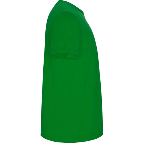 verde grass STAFFORD 6681