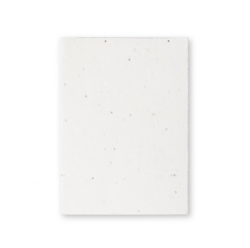 white Bloc Notas Semillas Zomek