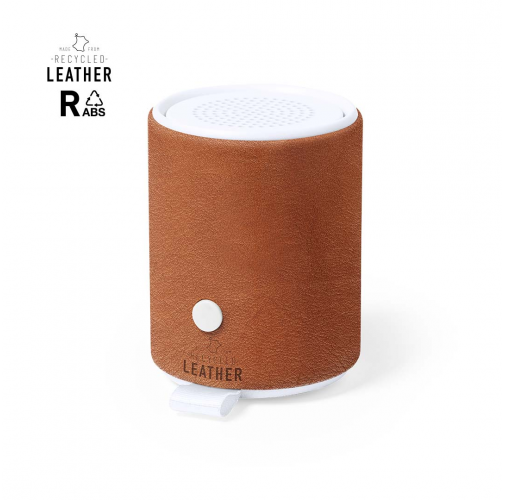 Altavoz Sotep RCS