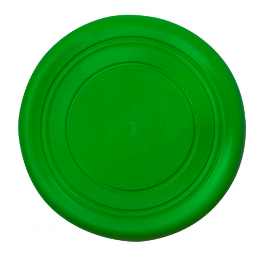 green Frisbee Girud