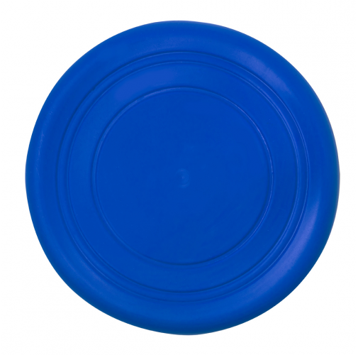 blue Frisbee Girud