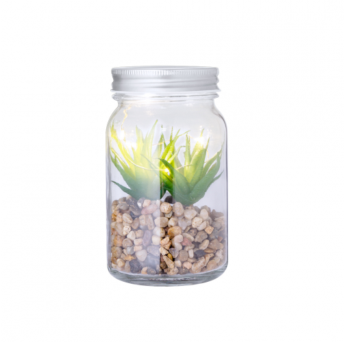 Planta Decorativa Kyala