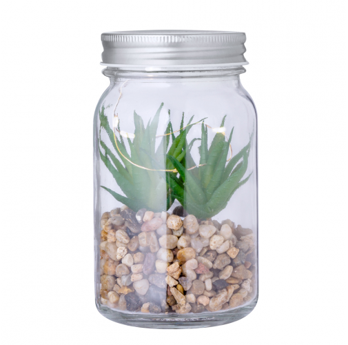 s/c Planta Decorativa Kyala