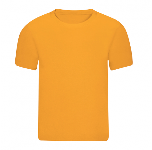 dorado Camiseta Niño Color Seiyo