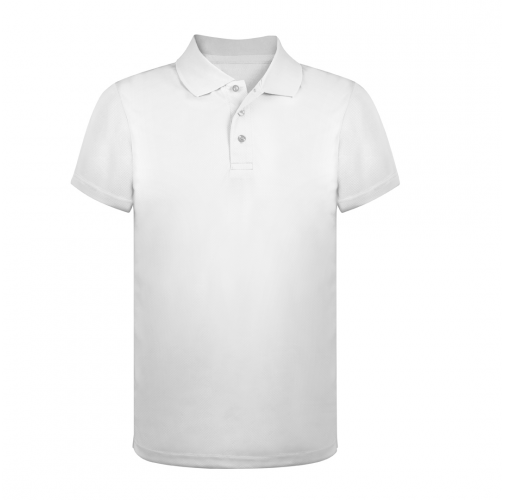 Polo Tecnic Ratlam