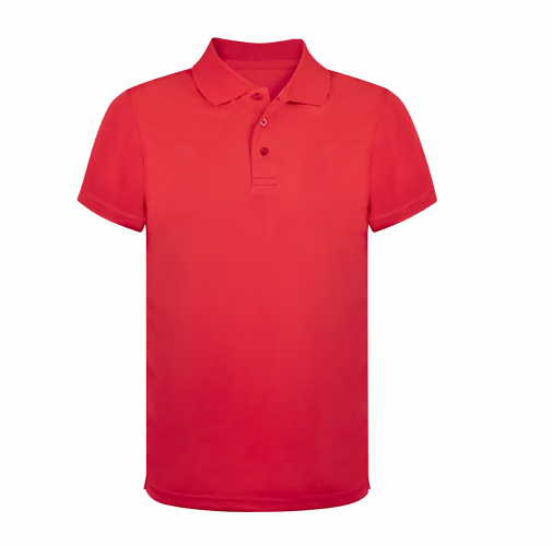 Polo Tecnic Ratlam