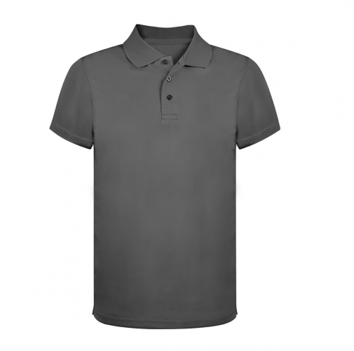 Polo Tecnic Ratlam