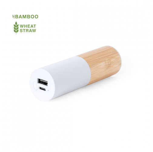 Power Bank Reneh
