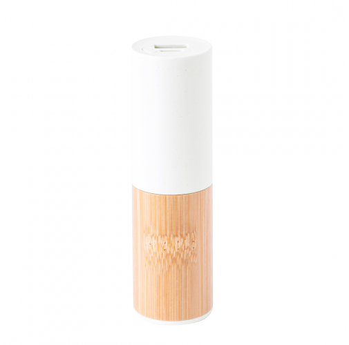 white Power Bank Reneh