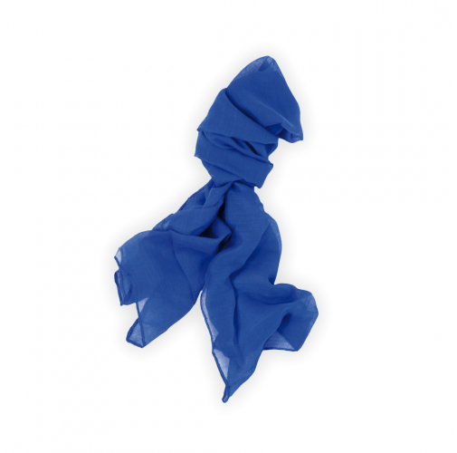 blue Foulard Instint