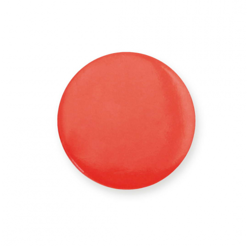 Pin Turmi