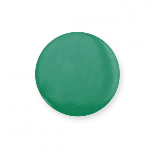 Pin Turmi