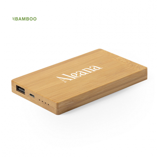 Power Bank Nipax