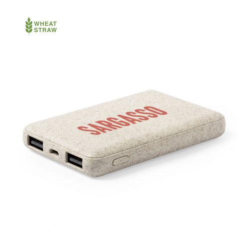 Power Bank Shiden