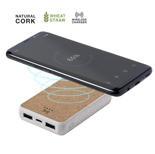 Power Bank Merak