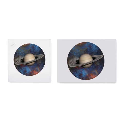 multicolor ROZZ MO2134