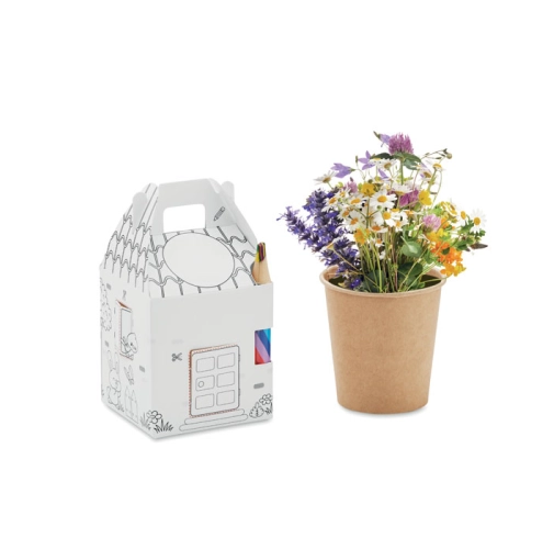 multicolor FULLHOUSE MO2223