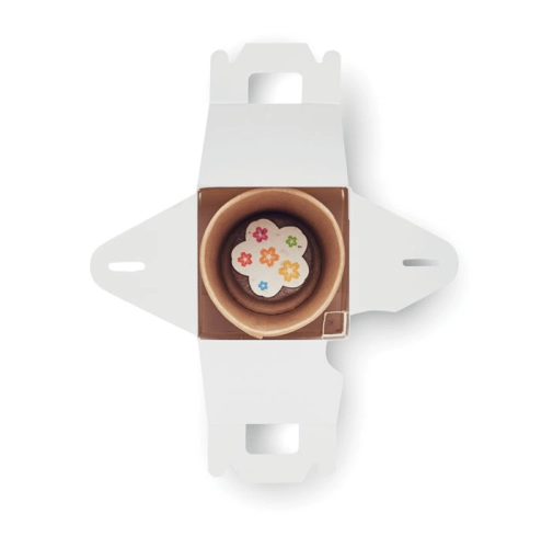 multicolor FULLHOUSE MO2223