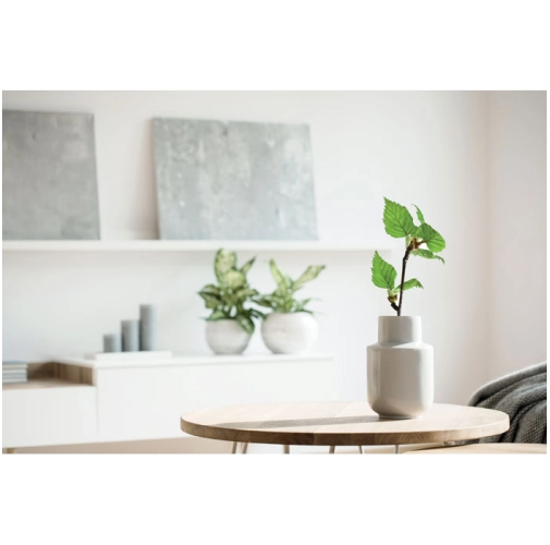 madera SAVAGE MO2251