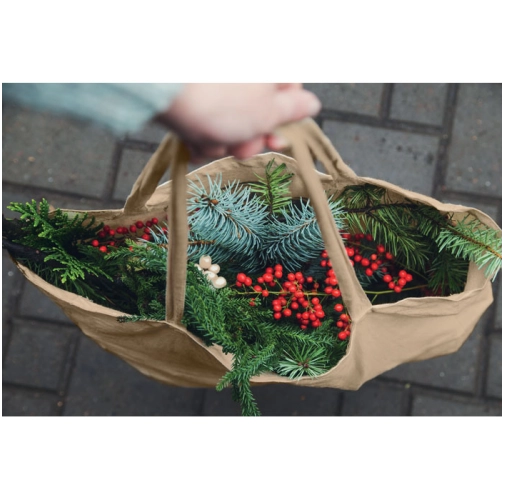 VIVEKA COLOUR MO2302