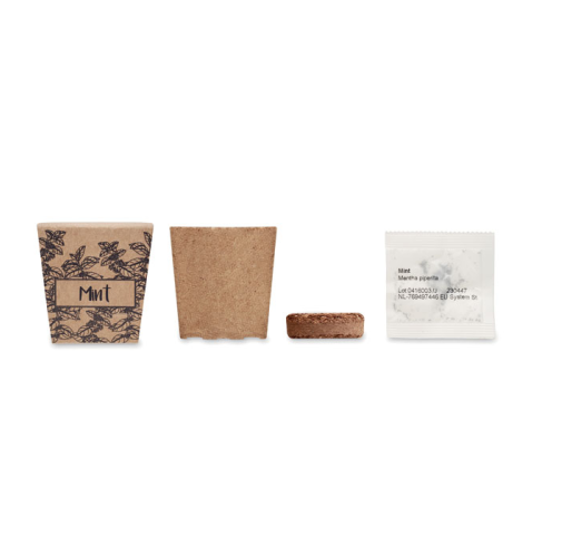 beig MINT KIT MO2410