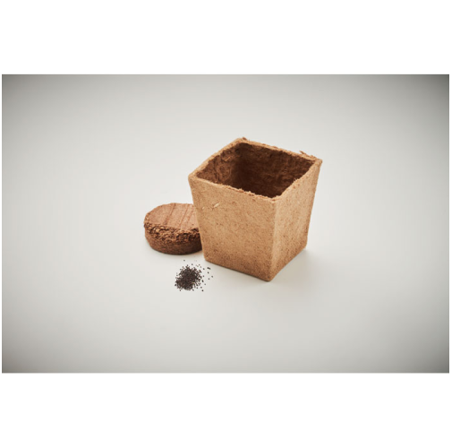 beig MINT KIT MO2410
