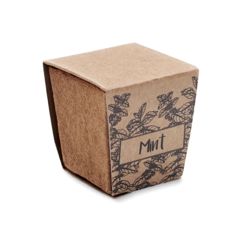 beig MINT KIT MO2410